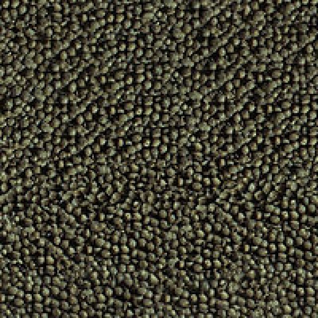 Goldy color spirulina nature5